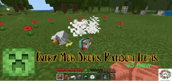 Every Mob Drop Random Item