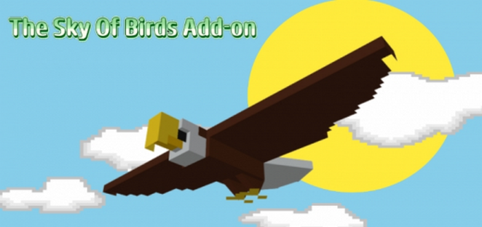 The Sky Of Birds