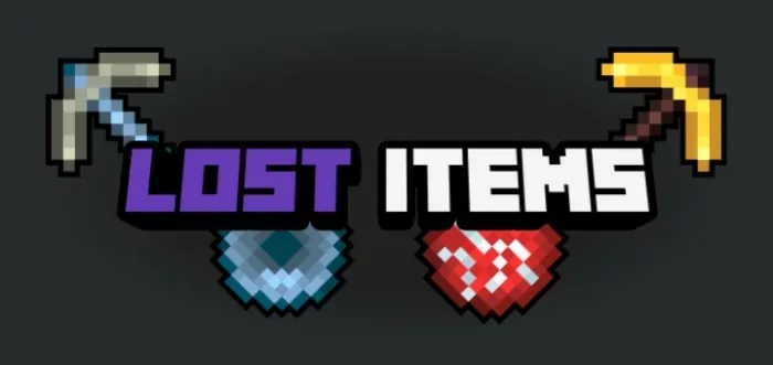 Lost Items