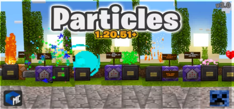 Particle Map