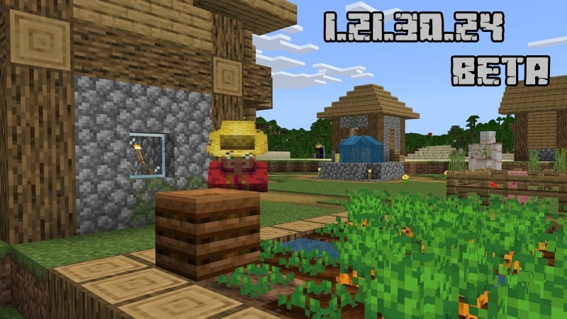 Minecraft PE 1.21.30.24 (Test version)