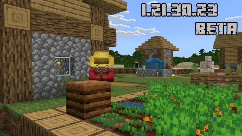 Minecraft PE 1.21.30.23 (Test version)