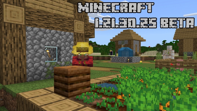 Minecraft PE 1.21.30.25 (Test version)