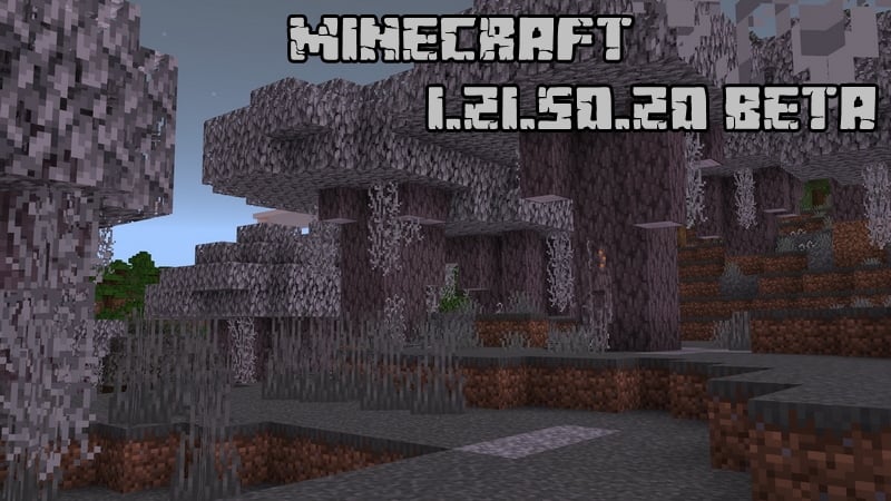 Minecraft PE 1.21.50.20 (Test version)