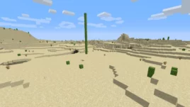 A new record in Minecraft: a cactus 23 blocks tall