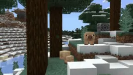 Minecraft Beta 1.21.60.25