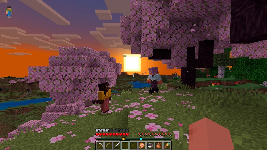 Minecraft Beta 1.21.80.20